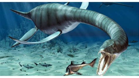 Natural History Expert David Leggett Discusses The Plesiosaur, or the 'Loch Ness Monster' - Catawiki