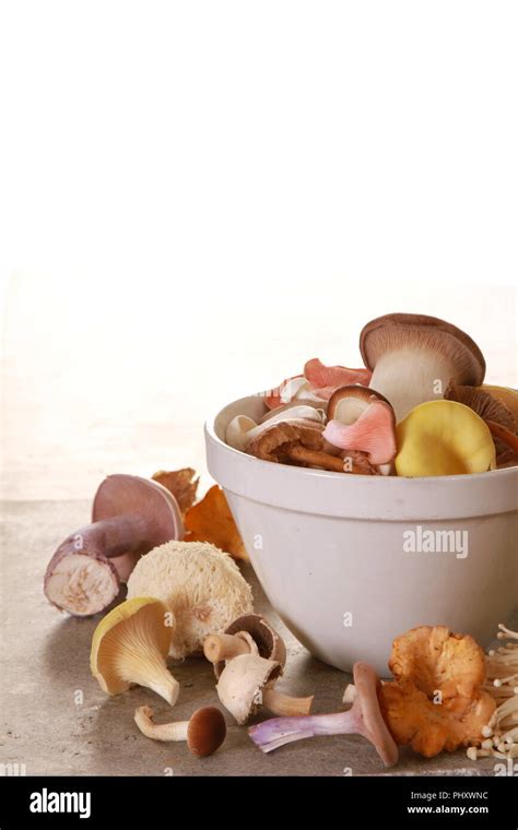 Chanterelle varieties hi-res stock photography and images - Alamy