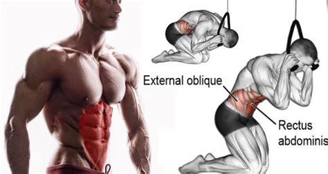 Chisel Your Upper Abs With Cable Crunches! - GymGuider.com | Upper abs ...