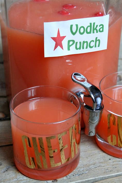 Vodka Punch Recipes With Orange Juice | Bryont Blog