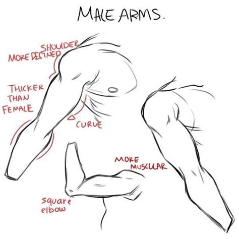 Male Arms #drawinganimebodiesanimation | Drawing tips, Drawing people, Arm drawing