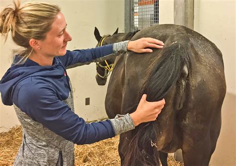 How to Predict Foaling – The Horse