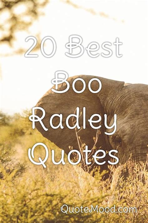 20 Most Inspiring Boo Radley Quotes | Boo radley, Boo radley quotes, Radley