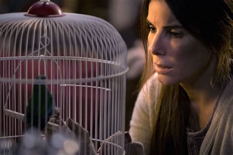 Sandra Bullock Defended as More Than 'That Lady From Bird Box' | Us Weekly