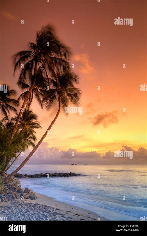 Caribbean, Barbados, Mullins Beach Stock Photo - Alamy