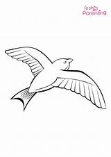 Flying Birds Coloring Page sketch template