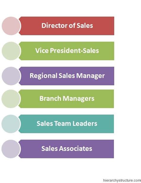 Sales Management Hierarchy | Sales and marketing, Hierarchy, Sales manager