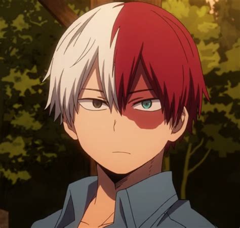 Shoto Todoroki Hot Smile