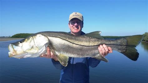 How Well Do You Really Know Snook? Take This Snook Quiz And Find Out! | Saltwater fishing, Salt ...