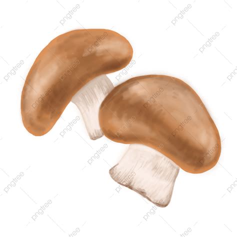 Shiitake Mushrooms PNG Image, Shiitake Mushrooms, Vegetables, Hand ...