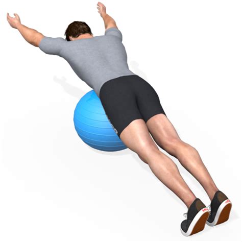 Exercise Ball Anteflexion Shoulders Static Video Exercise Guide