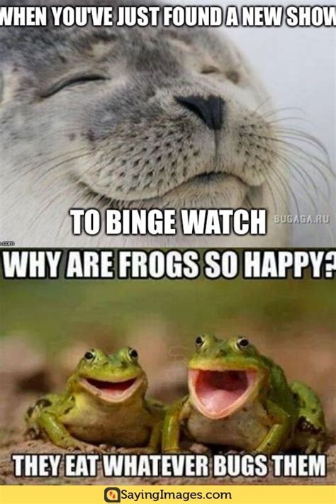 24 Happy Memes To Make You Feel A Whole Lot Better #happymemes #memes # ...