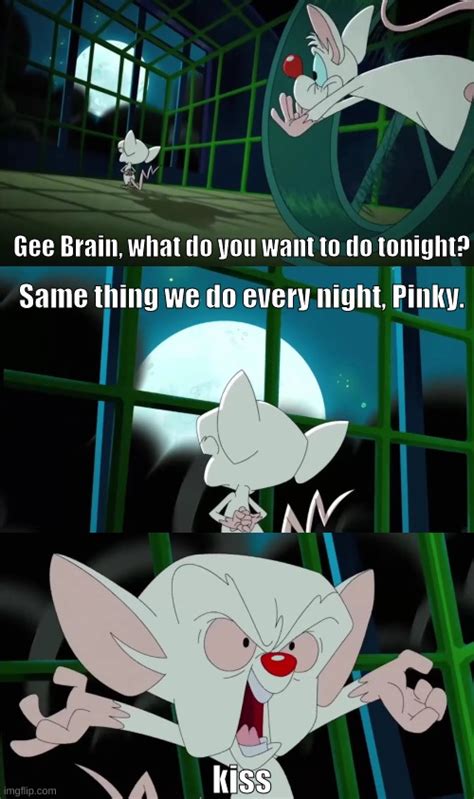 Pinky and the Brain be like - Imgflip