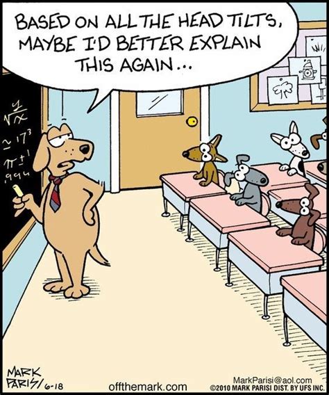 Very Confused Dogs (10 Pictures & Memes) | Math jokes, Funny cartoons ...