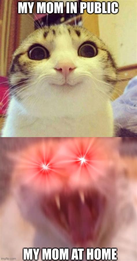 Angry Cat Meme