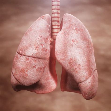 Human Respiratory System Animation by Helix Animation | Medical Illustration & Animation