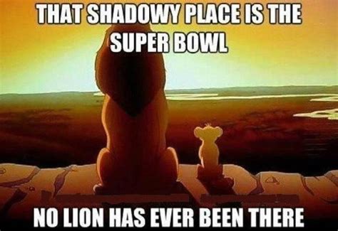 6 Traits Of A Detroit Lions Fan | Football funny, Super bowl, Nfl memes