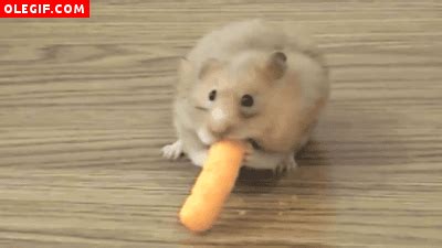 Cheetos GIF - Find & Share on GIPHY