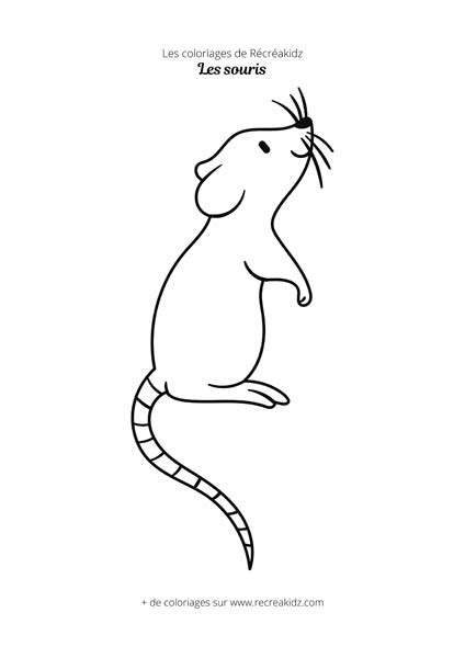 Coloriage souris simple | Dessin à colorier & imprimer en PDF