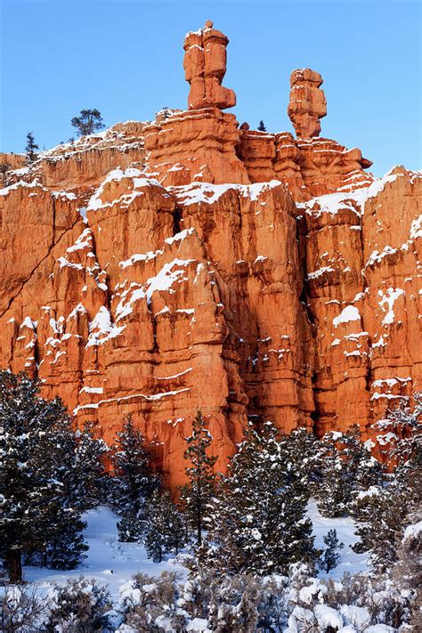 Red Canyon Hoodoos Photograph by James Marvin Phelps - Fine Art America