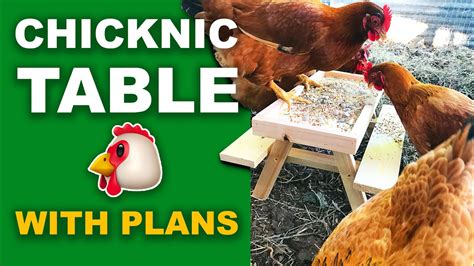 Chicknic Table - How to Build a Picnic Table for Chickens (with Plans ...