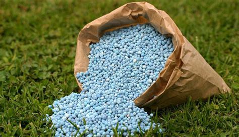 What Are Different Types of Fertilizer?