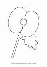 Flower Poppy Coloring Page Free Printable Pages sketch template