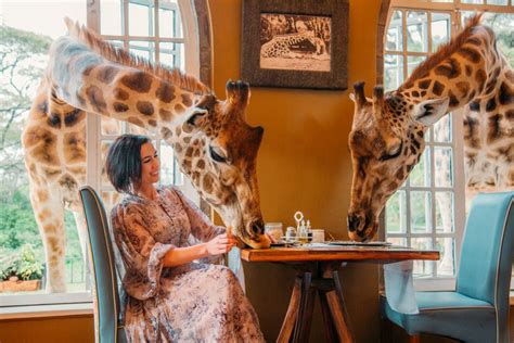 What to Wear to Giraffe Manor | Have Clothes, Will Travel