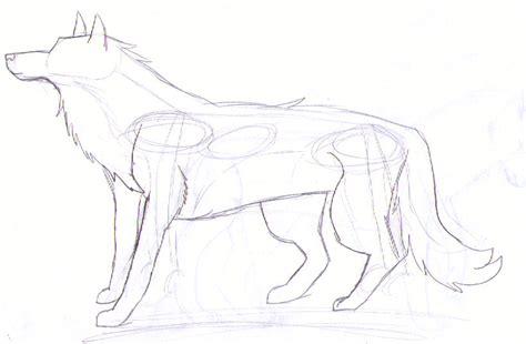 Wolf Body Sketch by sky1213 on DeviantArt