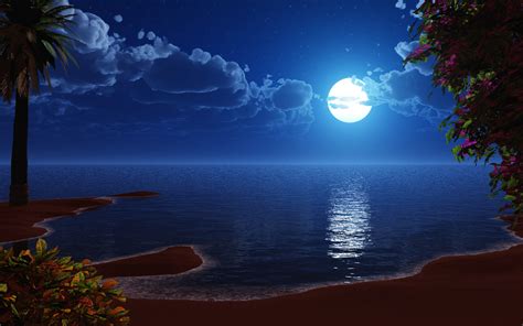 🔥 [130+] Beach Night HD Wallpapers | WallpaperSafari