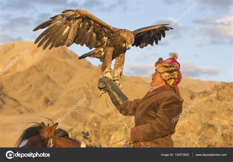 Mongolian nomad eagle hunter on his horse – Stock Editorial Photo © katiekk #134573652