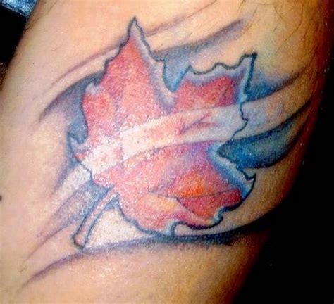 Maple leaf Tattoo | Maple leaf tattoo, Maple leaf tattoos, Wind tattoo