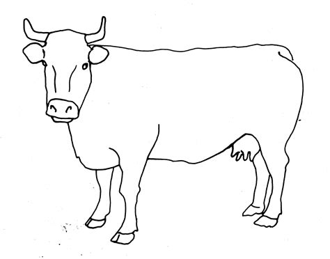 Cow Line Drawing | Free download on ClipArtMag