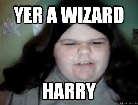 YER A WIZARD HARRY - Katiethesinger123 - quickmeme