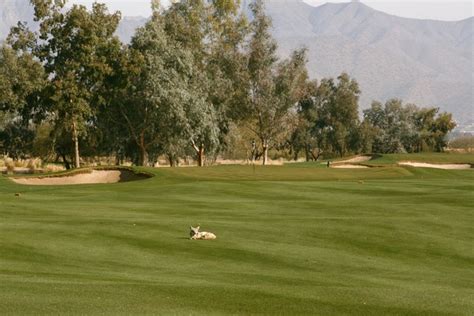 South Course at Talking Stick G.C. in Scottsdale: A traditional, tree ...