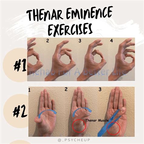 Thenar eminence exercises | Hand therapy, Hand exercises, Exercise