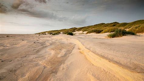 Saltum Beach, Denmark Dunes