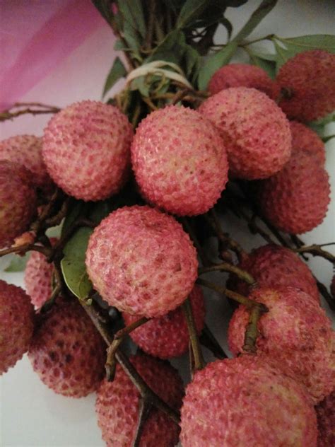 My Life is Marked by Lychee Season – Author Mark W Sasse