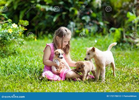 Kids Play with Puppy. Children and Dog in Garden Stock Photo - Image of ...