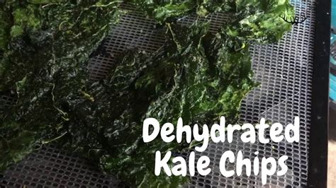 How to Make Kale Chips in the Dehydrator {RECIPE VIDEO} - YouTube