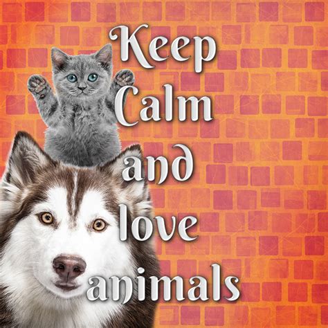 Banner, Keep Calm and love animals by InDreamsHappy on DeviantArt