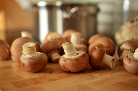 Are Mushrooms Keto? How Many Can You Have? - KetoConnect