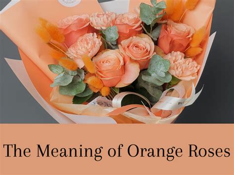 Orange Rose Meaning: In Friendship, Love and Dreams - LetterPile