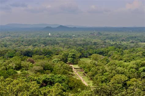 Visiting Sigiriya rock fortress in Sri Lanka. It's a long climb. But it's worth it.