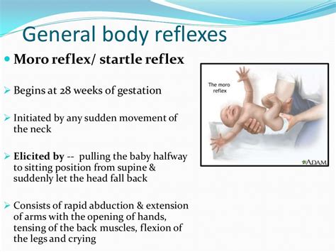 Reflexes present in infants