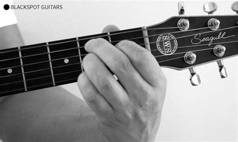 3 Easy B7 Guitar Chord Variations with Finger Charts | Blackspot Guitars