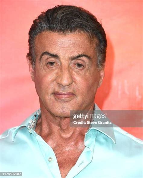 2,178 Rambo Stallone Photos & High Res Pictures - Getty Images