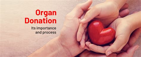 Organ Donation: Its importance and process - KDAH Blog - Health & Fitness Tips for Healthy Life