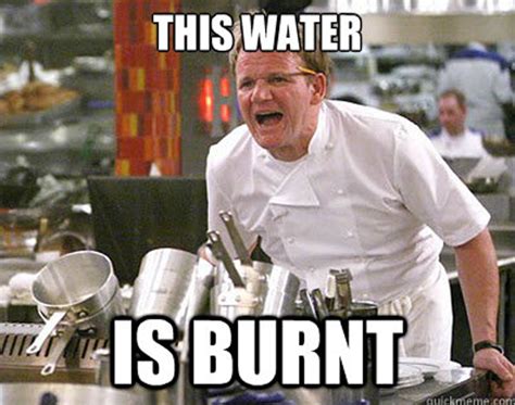 The Best Of The Chef Ramsay Meme | Gordon ramsay funny, Funny p, Gordon ramsay