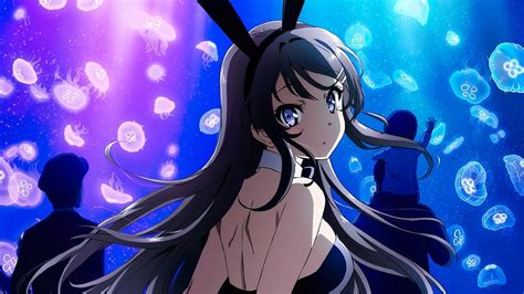 El anime Seishun Buta Yarou wa Bunny Girl Senpai no Yume wo Minai llegará a Netflix — Kudasai